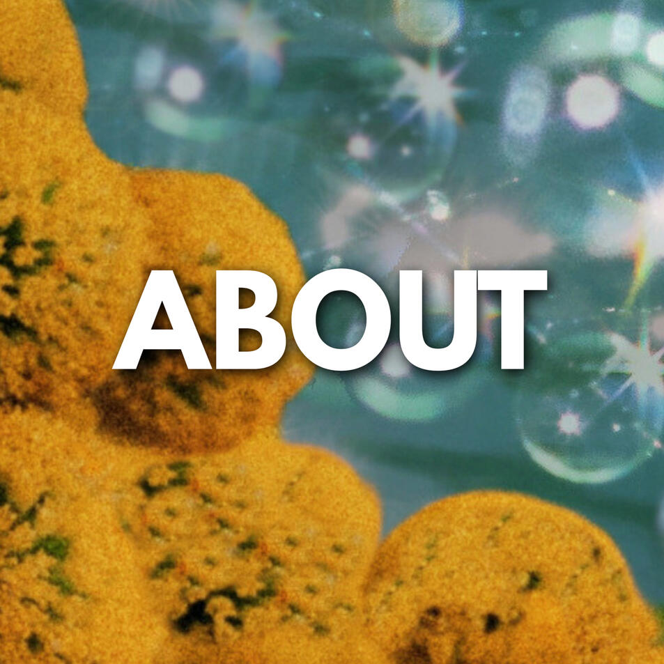 About About